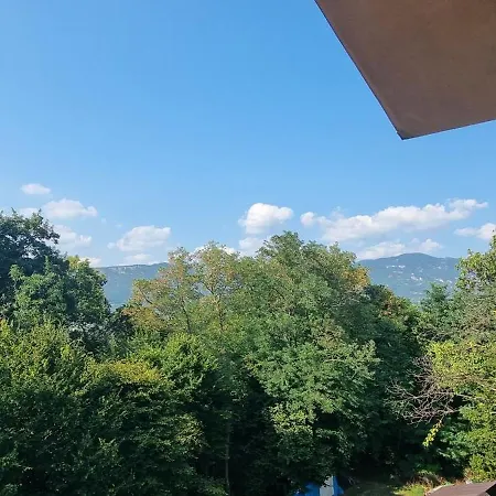 Pri Stari Murvi Appartamento Vogrsko