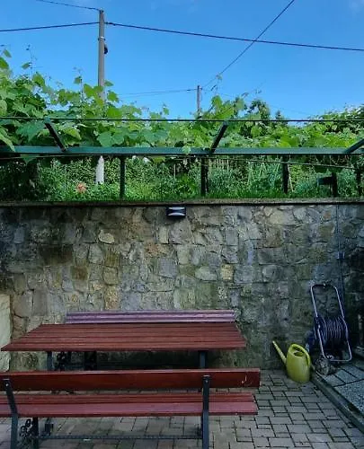 Pri Stari Murvi Apartamento Vogrsko